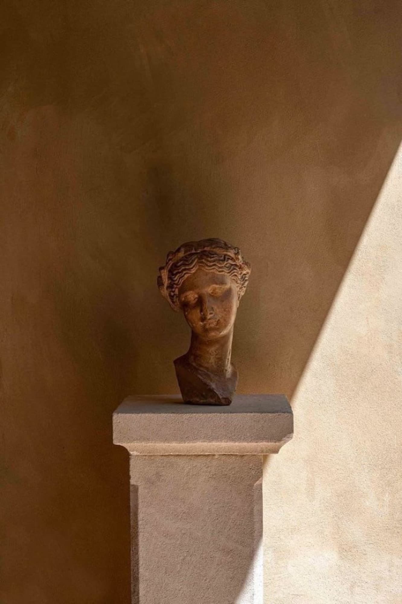 Busto clássico contra uma parede terrosa.